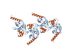 1zkk: Crystal structure of hSET8 in ternary complex with H4 peptide (16-24) and AdoHcy