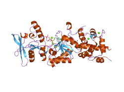 1zot: crystal structure analysis of the CyaA/C-Cam with PMEAPP