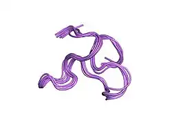 1ztn: INACTIVATION GATE OF POTASSIUM CHANNEL RAW3, NMR, 8 STRUCTURES