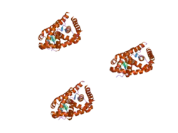 2abi: Crystal structure of the human mineralocorticoid receptor ligand-binding domain bound to deoxycorticosterone