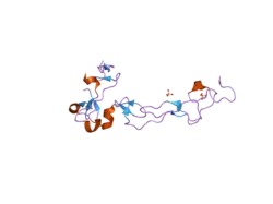 2ao7: Adam10 Disintegrin and cysteine- rich domain