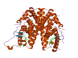 2bj4: ESTROGEN RECEPTOR ALPHA LBD IN COMPLEX WITH A PHAGE-DISPLAY DERIVED PEPTIDE ANTAGONIST