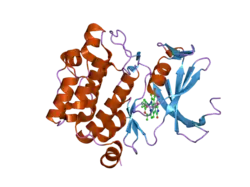 2bzj: CRYSTAL STRUCTURE OF THE HUMAN PIM1 IN COMPLEX WITH A RUTHENIUM ORGANOMETALLIC LIGAND RU3