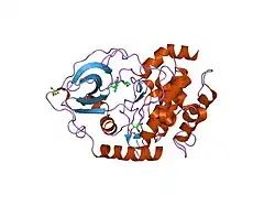2c1a: STRUCTURE OF CAMP-DEPENDENT PROTEIN KINASE COMPLEXED WITH ISOQUINOLINE-5-SULFONIC ACID (2-(2-(4-CHLOROBENZYLOXY) ETHYLAMINO)ETHYL)AMIDE