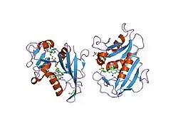 2c2t: HUMAN DIHYDROFOLATE REDUCTASE COMPLEXED WITH NADPH AND 2,4-DIAMINO-5-((7,8-DICARBAUNDECABORAN-7-YL)METHYL)-6-METHYLPYRIMIDINE, A NOVEL BORON CONTAINING, NONCLASSICAL ANTIFOLATE
