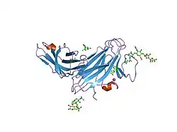 2c9a: CRYSTAL STRUCTURE OF THE MAM-IG MODULE OF RECEPTOR PROTEIN TYROSINE PHOSPHATASE MU