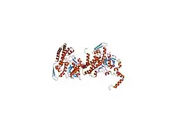 2cb5: HUMAN BLEOMYCIN HYDROLASE, C73S/DELE455 MUTANT