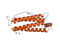 2cn6: RECOMBINANT HUMAN H FERRITIN, K86Q AND E107D MUTANT, SOAKED WITH ZN IONS