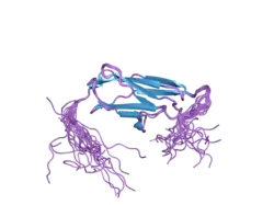 2cr6: Solution structure of the Ig domain (2998-3100) of human obscurin