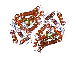 2d0u: Crystal structure of cyanide bound form of human indoleamine 2,3-dioxygenase
