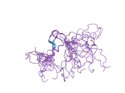 2d9g: Solution structure of the zf-RanBP domain of YY1-associated factor 2