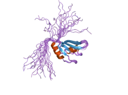 2d9p: Solution structure of RNA binding domain 4 in Polyadenylation binding protein 3