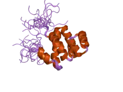 2dbd: Solution structure of the CARD domain in human caspase recruitment domain protein 4 (Nod1 protein)