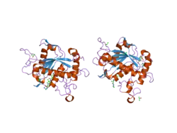 2ddf: Crystal structure of TACE in complex with TAPI-2