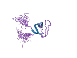 2dl8: Solution structure of the SH3 domain of human SLIT-ROBO Rho GTPase-activating protein 2