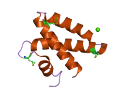 2dob: Crystal Structure of Human Saposin A