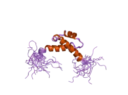 2dof: Solution structure of the fourth FF domain of human transcription factor CA150