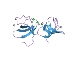 2esw: Atomic structure of the N-terminal SH3 domain of mouse beta PIX,p21-activated kinase (PAK)-interacting exchange factor