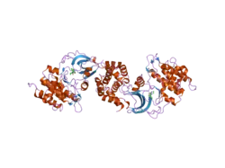 2etk: Crystal Structure of ROCK 1 bound to hydroxyfasudil