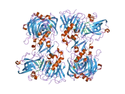 2ewy: Crystal structure of human BACE2 in complex with a hydroxyethylenamine transition-state inhibitor