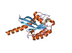 2f9m: 3D structure of active human Rab11b GTPase
