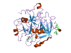 2fes: Orally active thrombin inhibitors