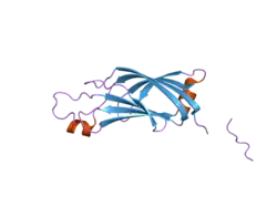 2fk9: Human protein kinase C, eta