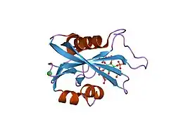 2fvv: Human Diphosphoinositol polyphosphate phosphohydrolase 1