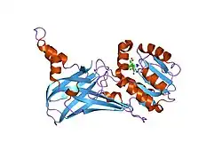 2fyt: Human HMT1 hnRNP methyltransferase-like 3 (S. cerevisiae) protein