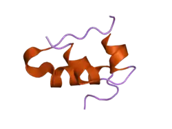 2g4m: Insulin collected at 2.0 A wavelength
