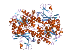 2g97: Crystal Structure of Visfatin/Pre-B Cell Colony Enhancing Factor 1/Nicotinamide Phosphoribosyltransferase In Complex with the Specific Inhibitor FK-866