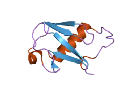 2gbn: Crystal Structure of the 35-36 8 Glycine Insertion Mutant of Ubiquitin