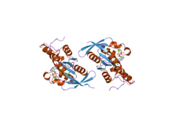 2gco: Crystal structure of the human RhoC-GppNHp complex