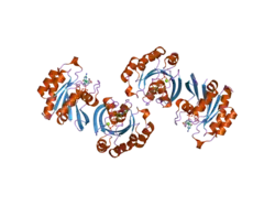 2gil: Structure of the extremely slow GTPase Rab6A in the GTP bound form at 1.8 resolution