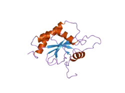 2gvp: Solution structure of Human apo Sco1