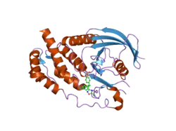 2h04: Structural studies of protein tyrosine phosphatase beta catalytic domain in complex with inhibitors