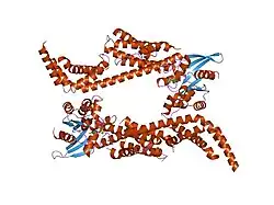 2h7v: Co-crystal structure of YpkA-Rac1