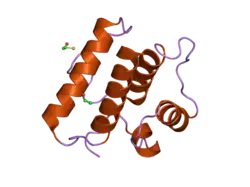 2igp: Crystal Structure of Hec1 CH domain