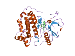 2itu: CRYSTAL STRUCTURE OF EGFR KINASE DOMAIN L858R MUTATION IN COMPLEX WITH AFN941
