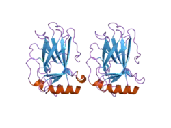 2j1w: HUMAN P53 CORE DOMAIN MUTANT M133L-V143A-V203A-N239Y-N268D