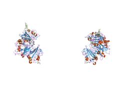 2j3f: L-FICOLIN COMPLEXED TO N-ACETYL-D-GALACTOSAMINE