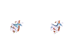 2j61: L-FICOLIN COMPLEXED TO N-ACETYLGLUCOSAMINE (FORME C)