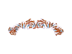 2jfk: STRUCTURE OF THE MAT DOMAIN OF HUMAN FAS WITH MALONYL-COA