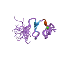 2jm4: The solution NMR structure of the relaxin (RXFP1) receptor LDLa module.
