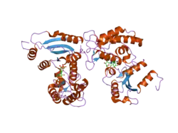 2o3s: Structural Basis for Formation and Hydrolysis of Calcium Messenger Cyclic ADP-ribose by Human CD38