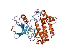2of4: crystal structure of furanopyrimidine 1 bound to lck