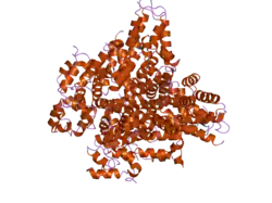 2of5: Oligomeric Death Domain complex