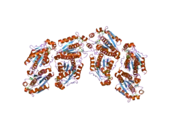 2ofw: Crystal structure of the APSK domain of human PAPSS1 complexed with 2 APS molecules