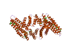 2ond: Crystal Structure of the HAT-C domain of murine CstF-77