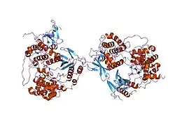2onl: Crystal Structure of the p38a-MAPKAP kinase 2 Heterodimer